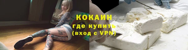 твердый Иннополис