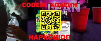 прущие грибы Дубна