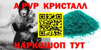 прущие грибы Дубна