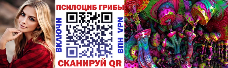 хочу наркоту  Свободный  hydra сайт  Галлюциногенные грибы Psilocybe 