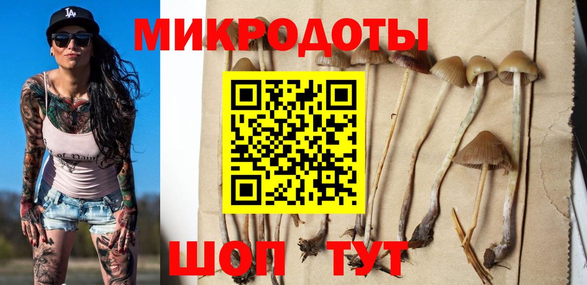 Псилоцибиновые грибы Magic Shrooms  Вход с VPN  Свободный  Псилоцибиновые грибы Psilocybine cubensis 