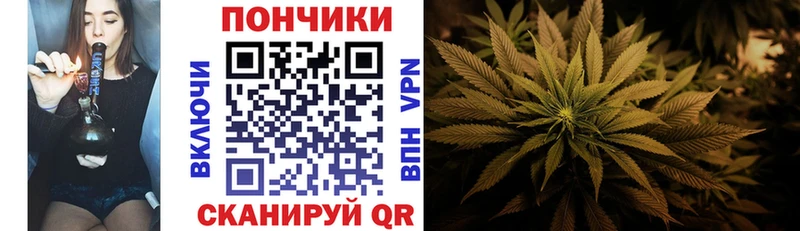 Марихуана конопля  как найти закладки  ОМГ ОМГ ссылка  Свободный 